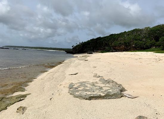 tonga/niuafo-ou/landmark/anahulu-cave