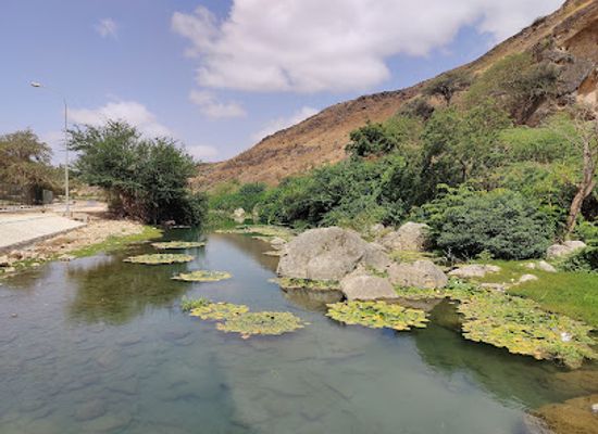 oman/salalah-coastal-plain/landmark/ain-razat