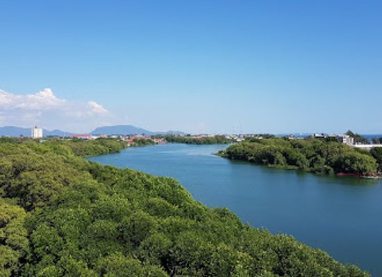 thailand/rayong/landmark/sky-view-tower-and-mangrove-research-center