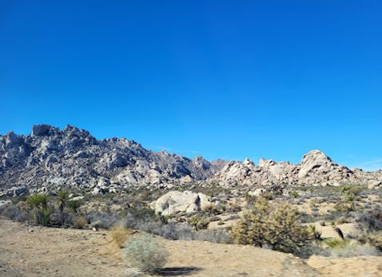 california/colorado-desert/landmark/mojave-national-preserve