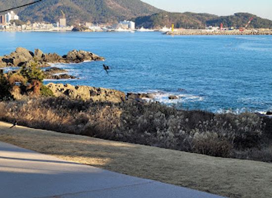 south-korea/yeongnam-region/landmark/osiria-coastal-walk