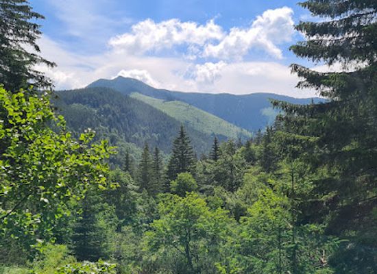 slovakia/dolina/landmark/vajskovska-dolina