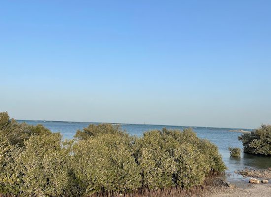 qatar/al-wakra-beach/landmark/mangroves-park-al-wakrah