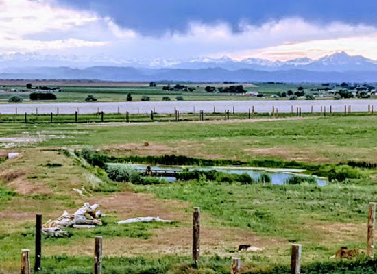 colorado/high-plains/landmark/the-wild-animal-sanctuary