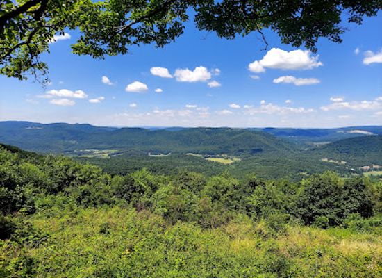 maryland/green-ridge-state-forest/landmark/zumbrun-overlook