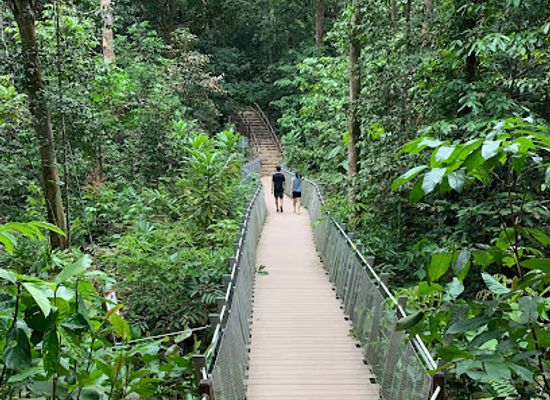 singapore/bukit-batok/landmark/gaharu-trail