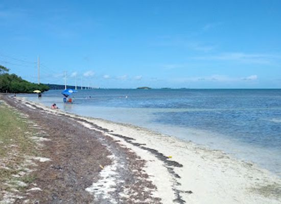 florida/florida-keys/landmark/windley-key-fossil-reef-geological-state-park