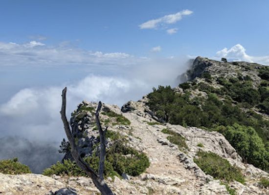 spain/serra-de-tramuntana/landmark/cami-de-s-arxiduc