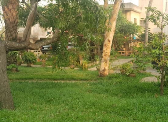 togo/mango/landmark/fauna-cultura