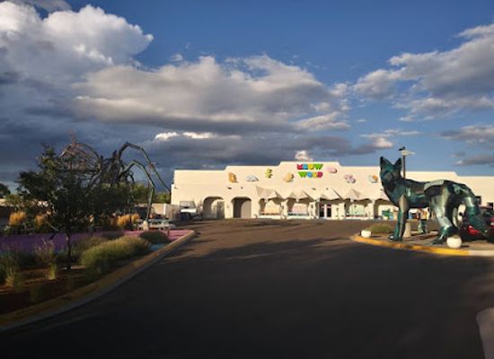 new-mexico/sante-fe/landmark/meow-wolf-santa-fe