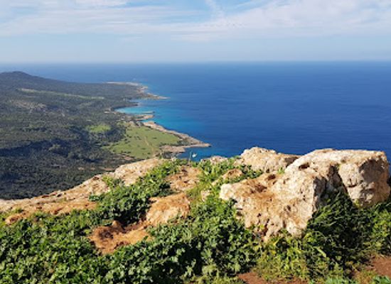 cyprus/avakas-gorge/landmark/akamas-national-forest-park