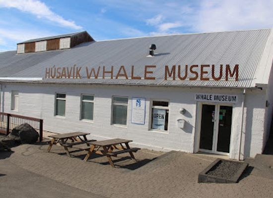 iceland/húsavík/landmark/husavik-whale-museum