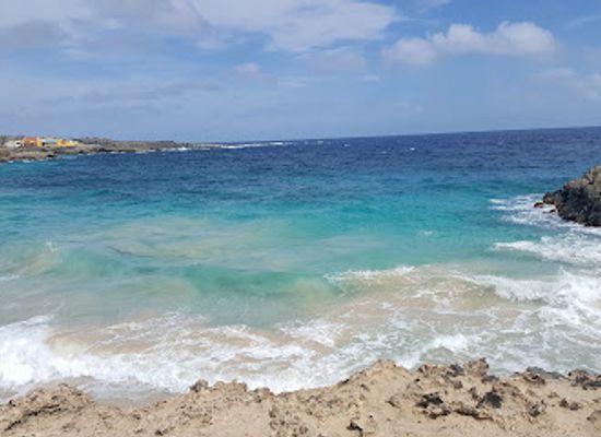 aruba/natural-pool/landmark/donkey-sanctuary-aruba
