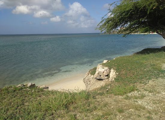 aruba/natural-pool/landmark/plaza-turismo