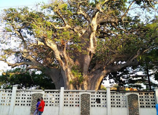 tanzania/dar-es-salaam/landmark/botanical-garden