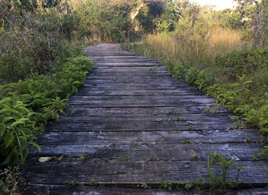 mauritius/grand-port/landmark/monvert-nature-walk