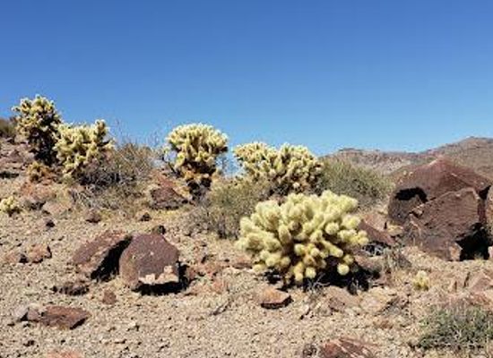 arizona/coconino-national-forest/landmark/historic-rte-66