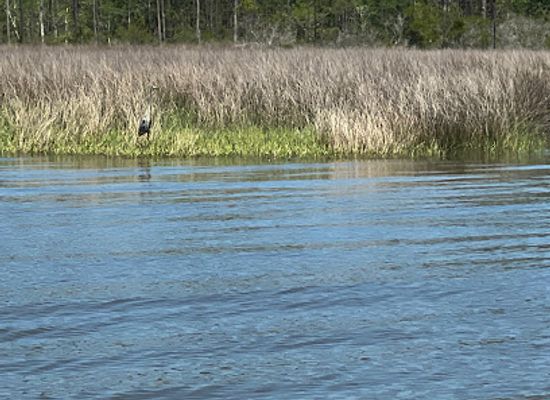 alabama/cotton-bayou/landmark/cotton-bayou-public-beach-access