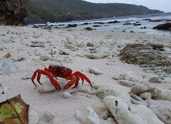 christmas-island/red-crabs-migration-area/landmark/ethel-beach
