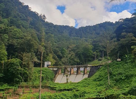 malaysia/cameron-highlands/landmark/jungle-trail-8-9-9a-9b