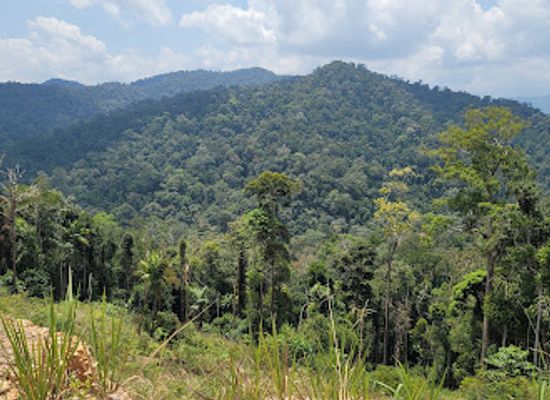 malaysia/taman-negara-national-park/landmark/bukit-awan