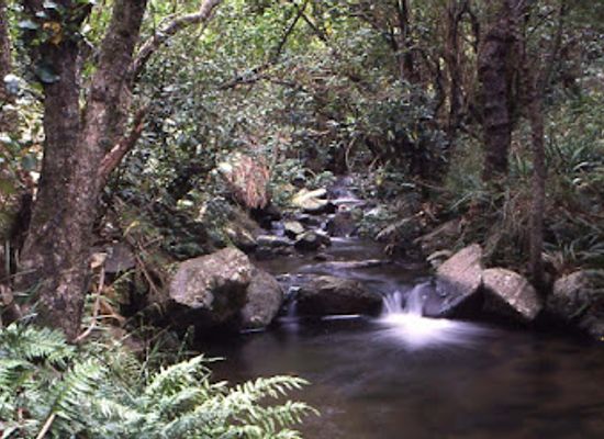 new-zealand/canterbury/landmark/washpen-falls
