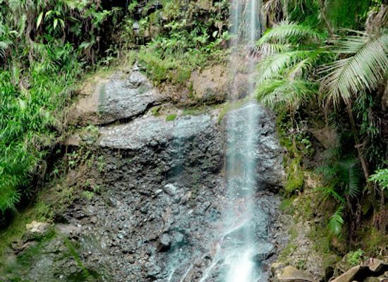 guam/central-guam/landmark/san-carlos-swim-hole