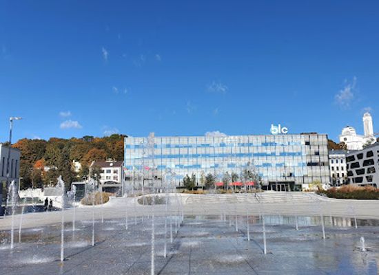 lithuania/kaunas-region/landmark/unity-square
