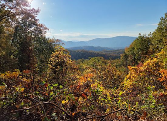tennessee/appalachian-mountains/landmark/roaring-fork-motor-nature-trail