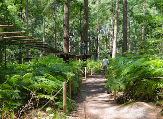 netherlands/gooi/landmark/klimbos-lage-vuursche
