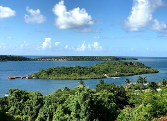 antigua-and-barbuda/barbuda/landmark/stingray-city-antigua