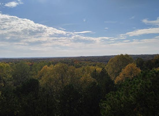 indiana/the-knobs/landmark/charles-c-deam-wilderness