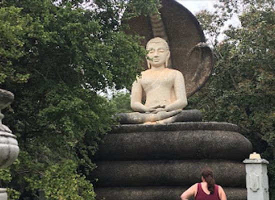 sri-lanka/dambulla/landmark/minneriya-national-park-safari