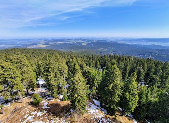 czechia/sumava/landmark/boubinsky-prales