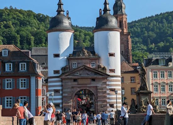 germany/heidelberg/landmark/heidelberg-altstadt