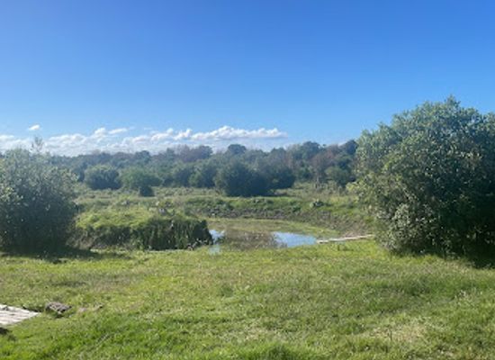 uruguay/santa-lucia-river-basin/landmark/senderos-de-flora-y-fauna-arroyo-pan-de-azucar