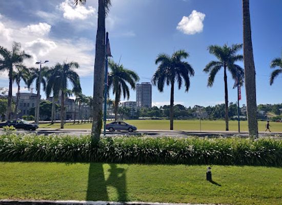 fiji/suva/landmark/albert-park