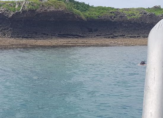 fiji/lau-islands/landmark/colo-i-suva-forest-park