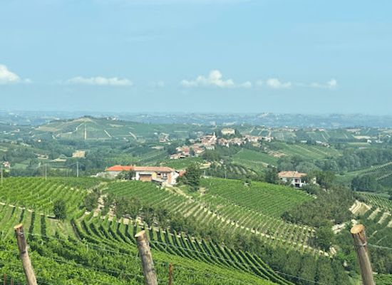 italy/roero/landmark/el-valet-tartufaia