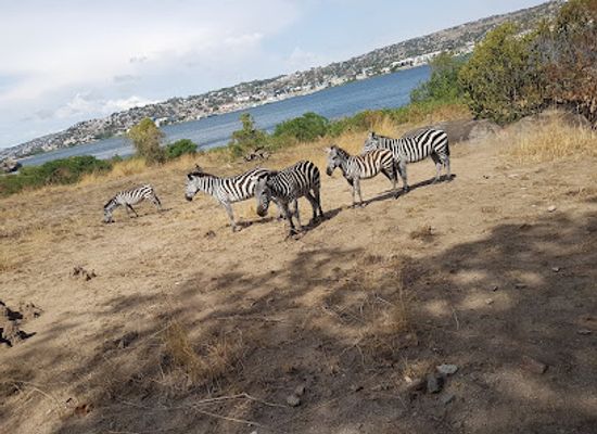 tanzania/ruaha-national-park/landmark/saanane-national-park