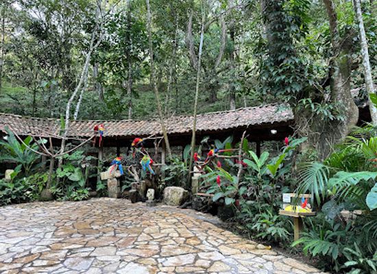 honduras/copan-region/landmark/macaw-mountain-bird-park