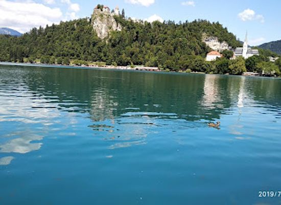 slovenia/littoral/landmark/predjama-castle
