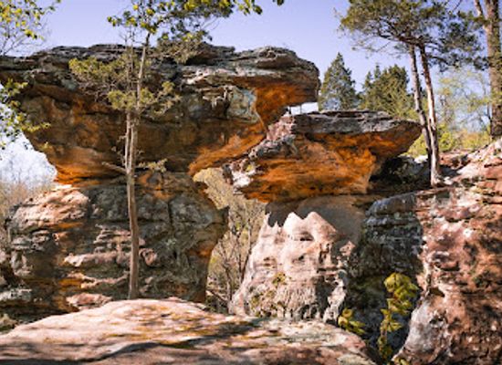 illinois/giant-city-state-park/landmark/devil-s-standtable-nature-trail