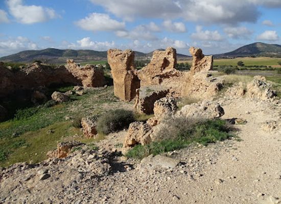 tunisia/northern-tunisia/landmark/cistern-of-thuburbo-majus