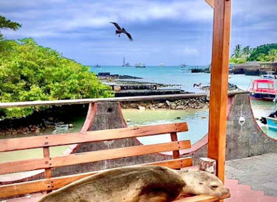 ecuador/puerto-ayora/landmark/galarous-island-apartments