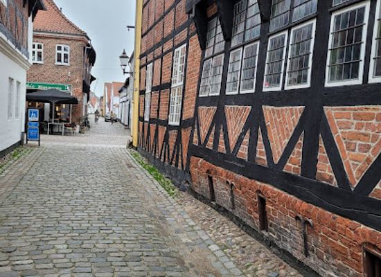 denmark/ribe/attraction/jacob-a-riis-museum