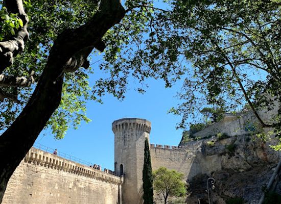 france/avignon/rocher-des-doms/landmark/stairs-to-rocher-des-doms