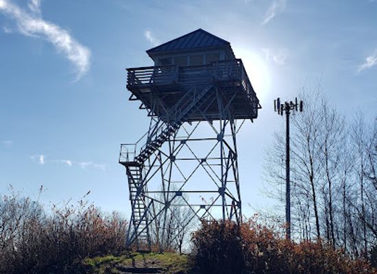 tennessee/appalachian-mountains/landmark/rich-mountain-fire-tower
