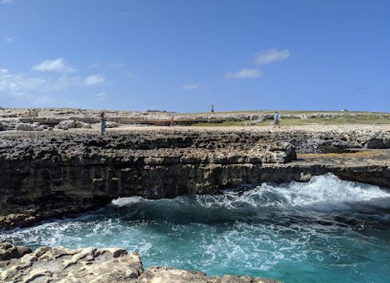 antigua-and-barbuda/devil-s-bridge/landmark/stingray-city-antigua