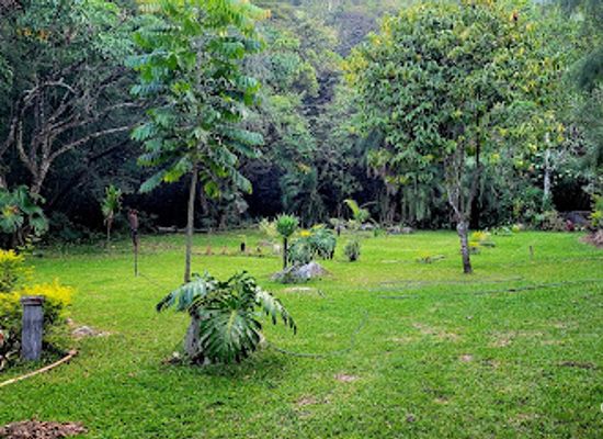 zimbabwe/bvumba-botanical-gardens/landmark/marindi-falls
